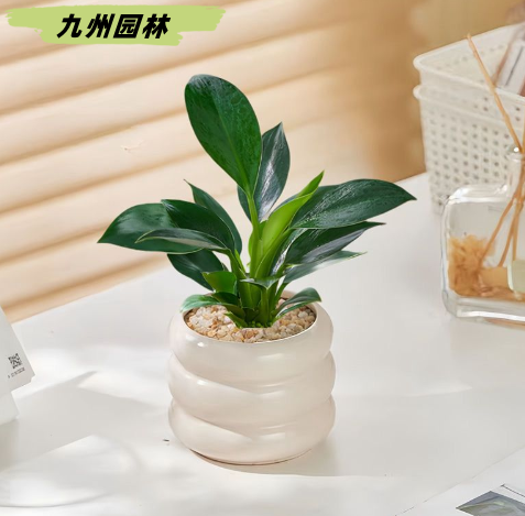 金鉆